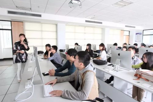 專業(yè)解讀 計(jì)算機(jī)類三大核心專業(yè)及其網(wǎng)絡(luò)技術(shù)服務(wù)應(yīng)用