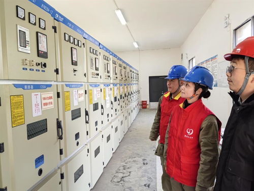 24小時聯(lián)動雙保險(xiǎn)，保障萬名師生用電無憂的家庭服務(wù)