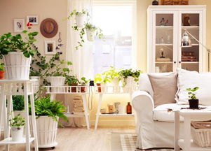 自貢酷暑來襲，空調(diào)19個(gè)節(jié)能省錢竅門，九成家庭還不知道