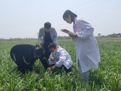 入“鏈”問診，精準賦能 市檢測站發力服務農業產業鏈，助推農藥貿易高質量發展